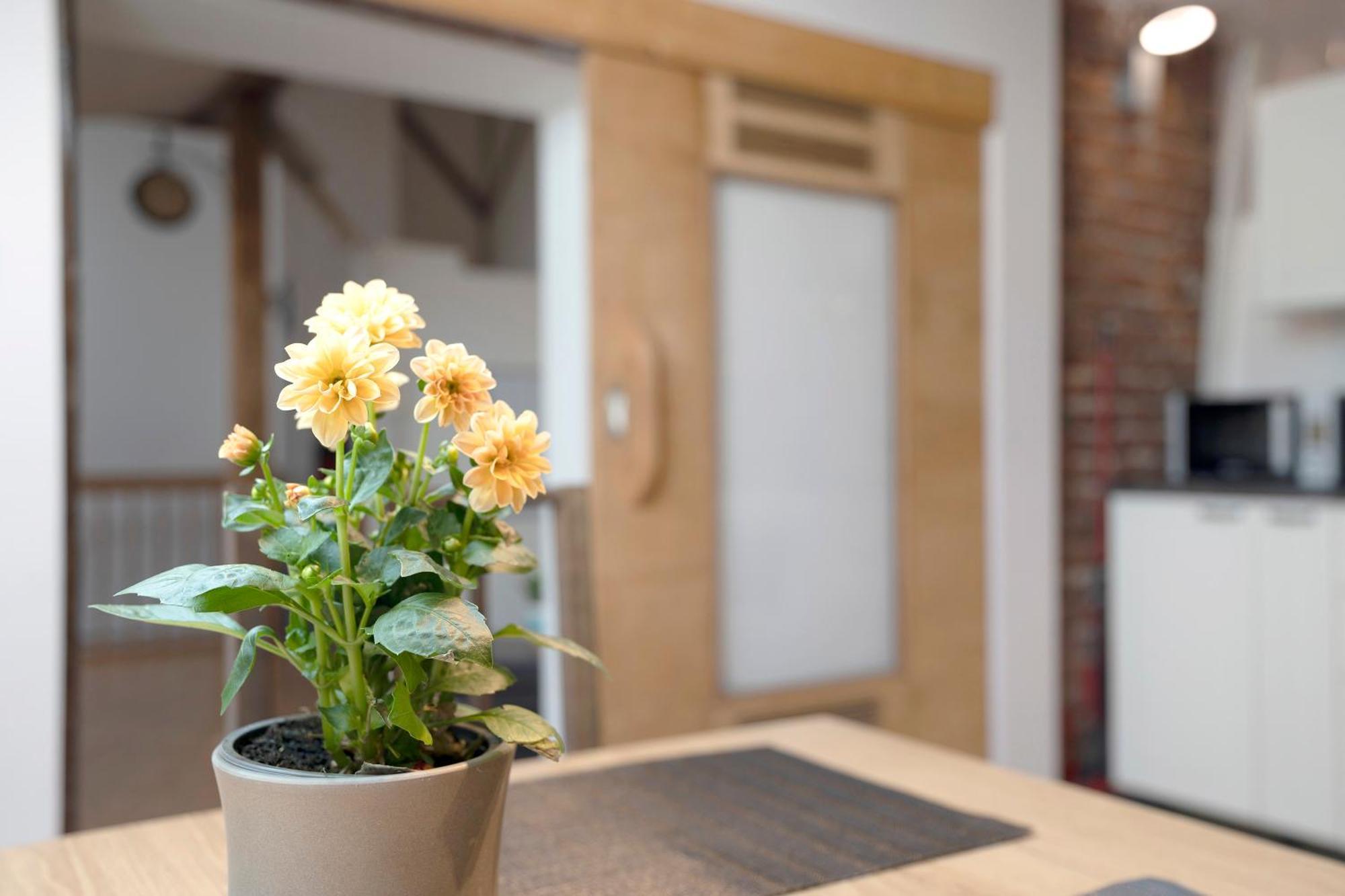 バーデン＝バーデンLoft Svenアパートメント エクステリア 写真